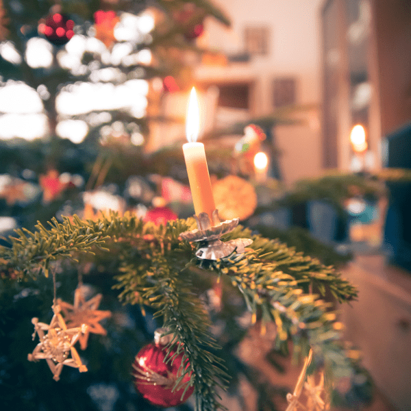 Vánoční stromeček dnes k Vánocům neodmyslitelně patří. Každý máme ten svůj doma, velké vánoční stromy zdobí snad každé náměstí, míjíme je v i obchodech, jsou zkrátka k nepřehlédnutí. Mohlo by […]